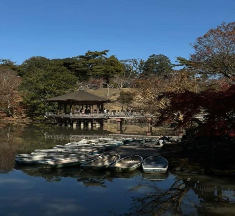 Tokyo: Nara Private Day Tour with English-Speaking Guide - Good To Know