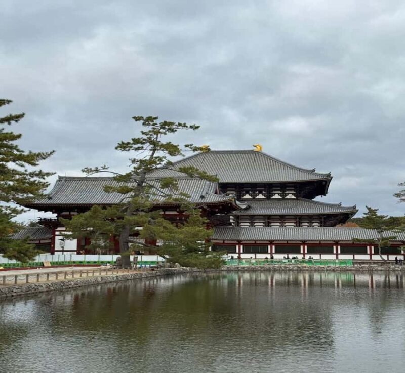 Tokyo: Nara Private Day Tour with English-Speaking Guide - Final Thoughts