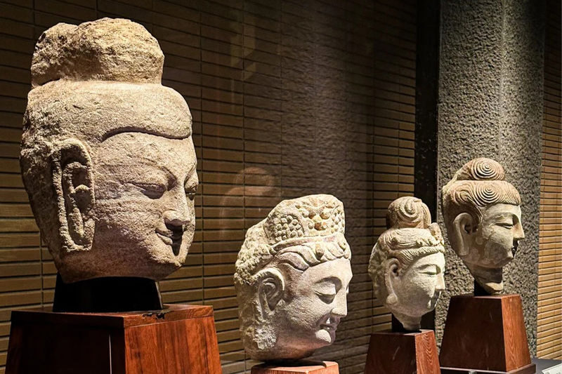 Tokyo National Museum | Hall of Fame | Main Building & Asian Gallery | Star Lecturer Professional Level Explanation - Start with a guide, not a gallery map
