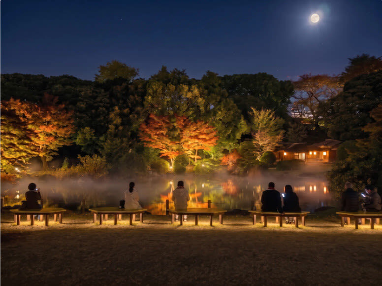 Tokyo National Museum Ticket - The price works best if you use the included admission