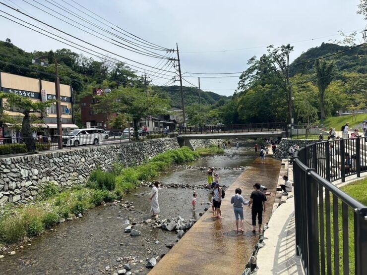 Tokyo: Nature and Culture Hiking Adventure at Mt. Takao - Hiking Experience at Mt. Takao