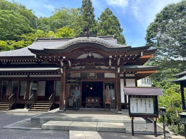 Tokyo: Nature and Culture Hiking Adventure at Mt. Takao - Tips for Hikers