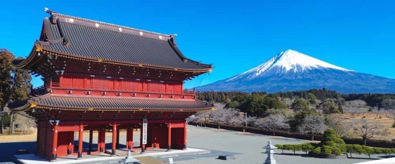 Tokyo: New Views of Mt. Fuji Cherry Blossoms & Tea Picking - FAQs