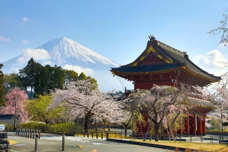 Tokyo: New Views of Mt. Fuji Cherry Blossoms & Tea Picking - Final Thoughts