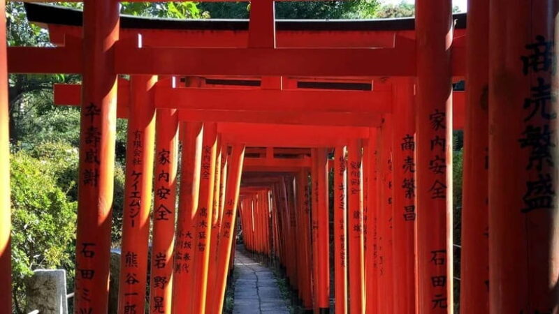Tokyo: Nezu Shrine Guided Tour with Azalea Festival - A Closer Look at the Tour Experience
