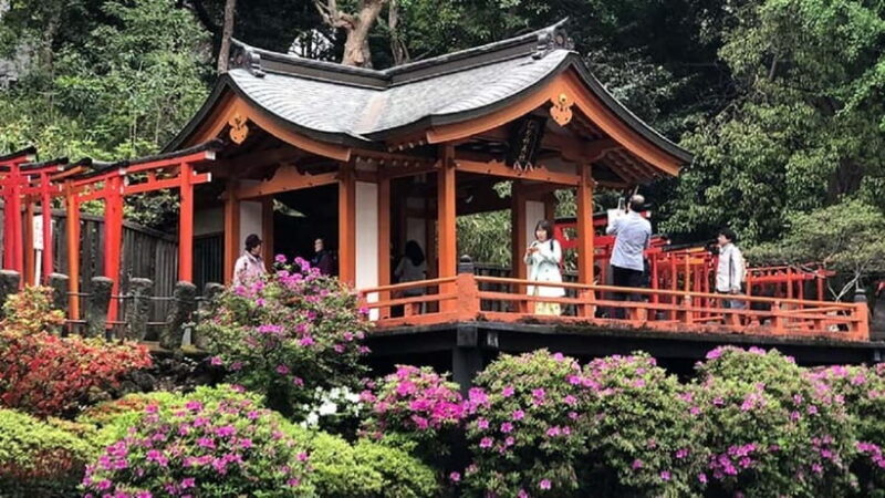 Tokyo: Nezu Shrine Guided Tour with Azalea Festival - FAQs
