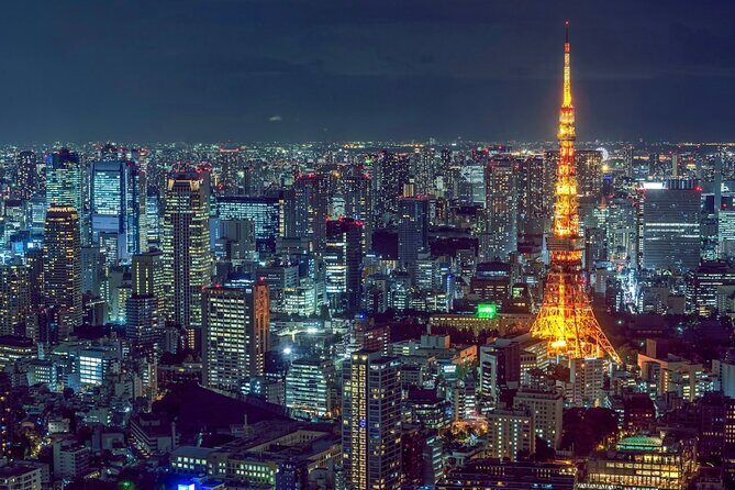 Tokyo Night Drive Wangan Expressway and Daikoku PA - Authentic Insights from Reviews