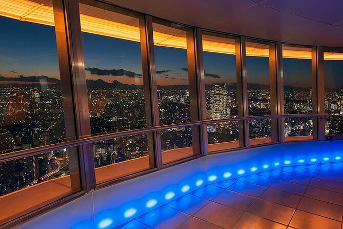 Tokyo Night E-Bike Tour with Tokyo Tower and Dolphin Show - Who Is This Tour Best For?