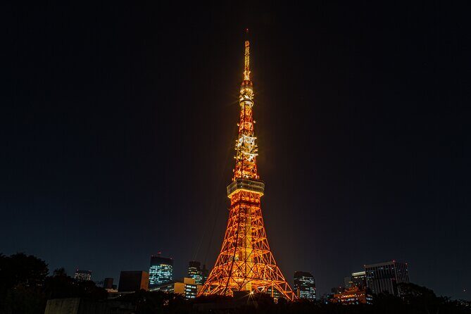 Tokyo Night E-Bike Tour with Tokyo Tower and Dolphin Show - FAQ