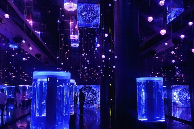 Tokyo Night E-Bike Tour with Tokyo Tower and Dolphin Show - Final Thoughts