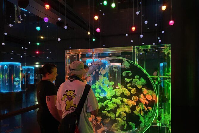 Tokyo Night E-Bike Tour with Tokyo Tower and Dolphin Show - An In-Depth Look at the Tokyo Night E-Bike Tour