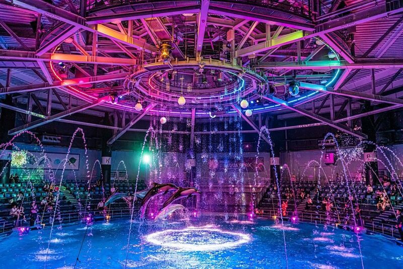 Tokyo: Night Electric Bike Tour with Tokyo Tower and Dolphin Show - A night ride with more than one kind of show