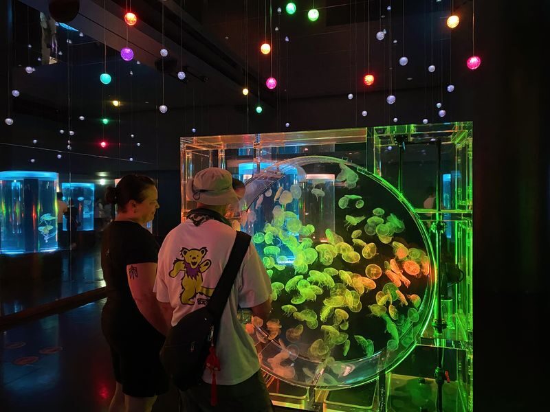 Tokyo: Night Electric Bike Tour with Tokyo Tower and Dolphin Show - Sengaku-ji: a short temple pause