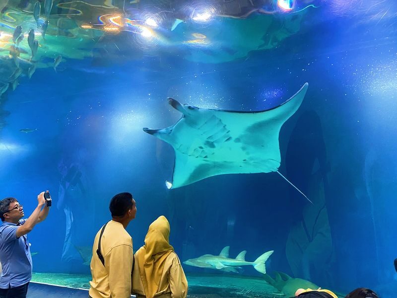 Tokyo: Night Electric Bike Tour with Tokyo Tower and Dolphin Show - Azabujuban: a snack break, not a full dinner