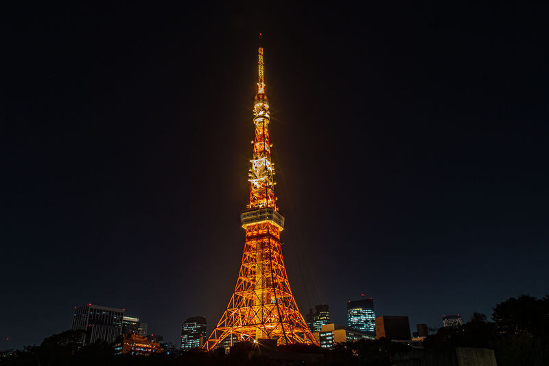 Tokyo: Night Electric Bike Tour with Tokyo Tower and Dolphin Show - Practical details before you book