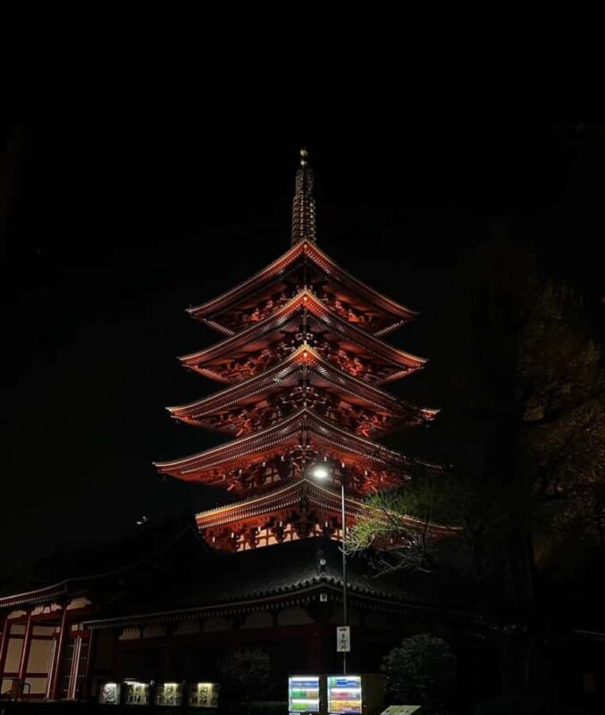 Tokyo Night Private Tour With English Speaking Driver - Good To Know