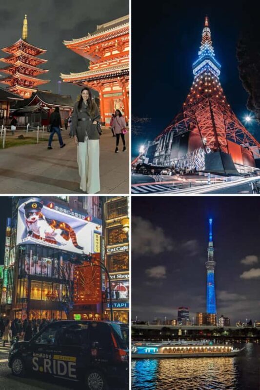 Tokyo Night Private Tour With English Speaking Driver - Overview of the Tokyo Night Private Tour