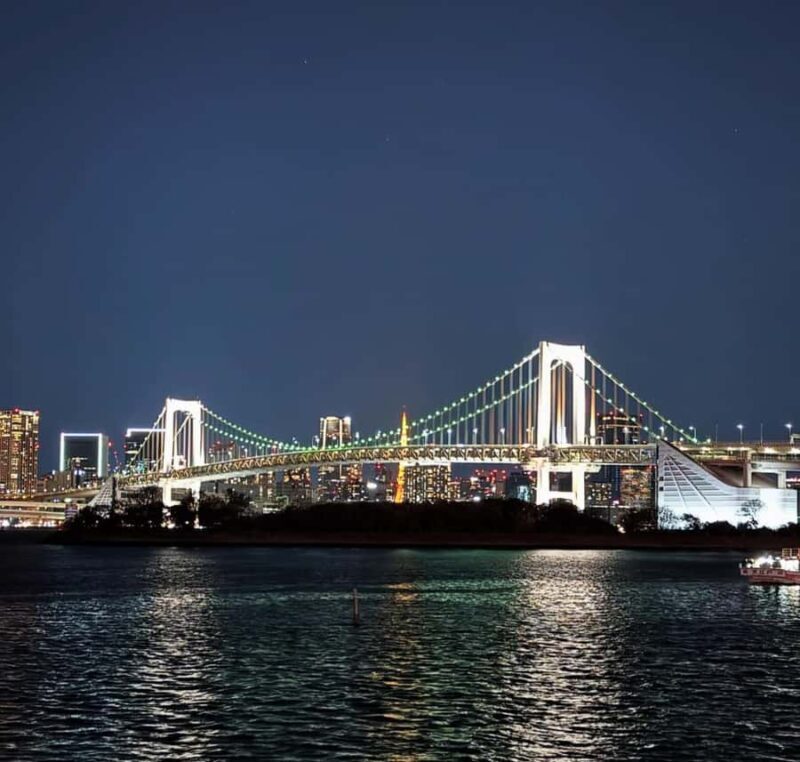 Tokyo Night Private Tour With English Speaking Driver - Who Is This Tour Best For?