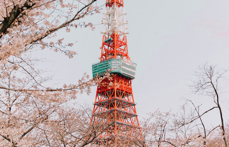 Tokyo Night Scenery Cruise: Nihonbashi Water Bus, Toyosu Seaside LaLaport, Tokyo Tower Bright Night Scenery Day Tour - What the Tokyo evening is meant to include