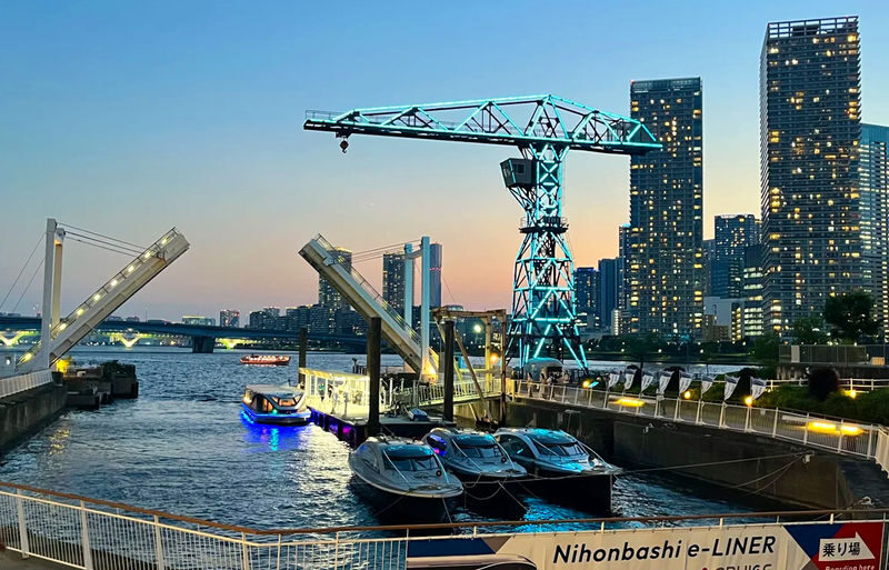 Tokyo Night Scenery Cruise: Nihonbashi Water Bus, Toyosu Seaside LaLaport, Tokyo Tower Bright Night Scenery Day Tour - Small planning details worth knowing