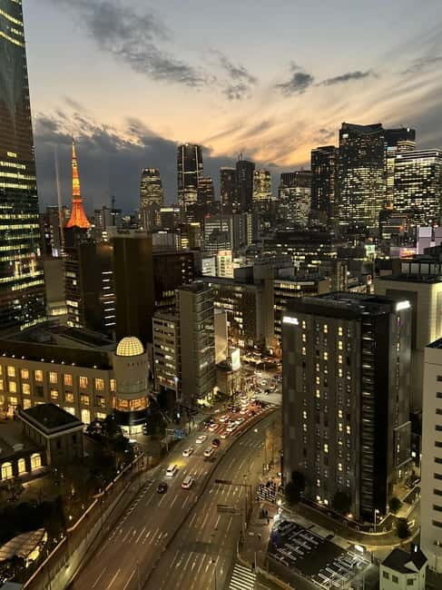 Tokyo Night Tour - Who Should Consider This Tour?