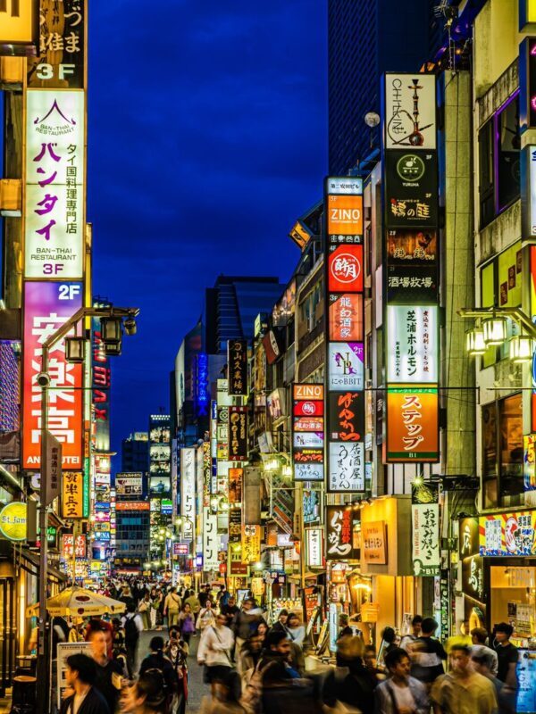 Tokyo Night View Private Half-Day Tour - Key points to know before you go