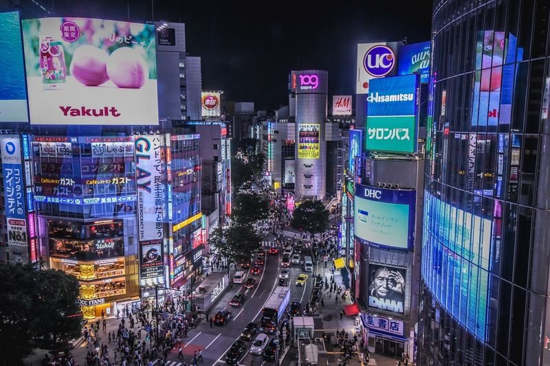 Tokyo Night View Private Half-Day Tour - The value of a driver in Tokyo traffic