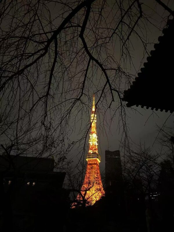 Tokyo Night View Private Half-Day Tour - Is $346.99 a fair price?