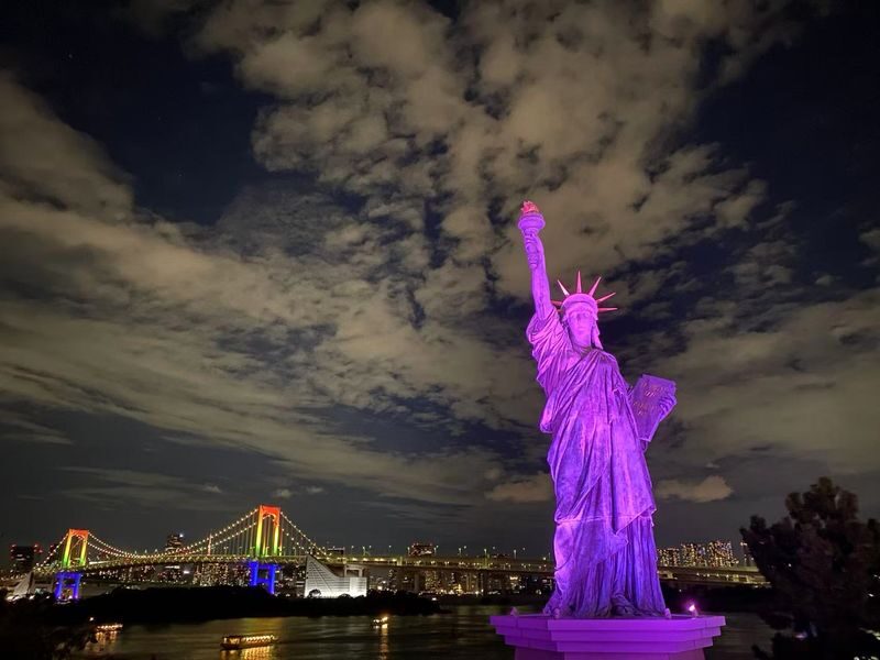 Tokyo Night View Private Half-Day Tour - Who will get the most from this tour