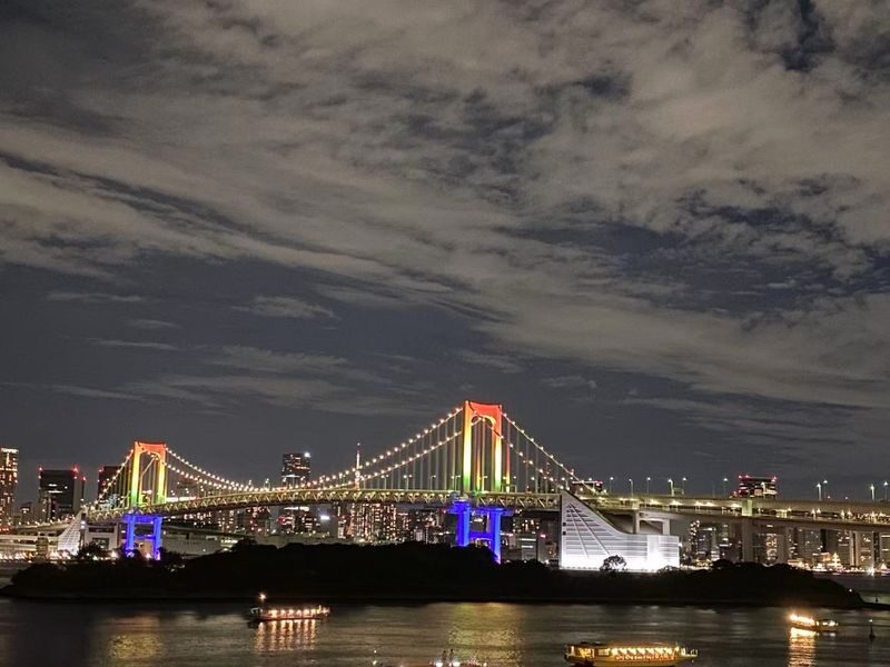 Tokyo Night View Private Half-Day Tour - Booking details to check