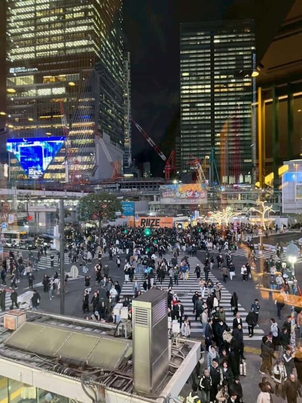 Tokyo Night Walk: Shibuya & Shinjuku Hidden Alleys - Good To Know