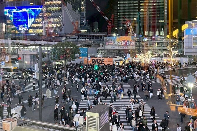 Tokyo Night Walking Tour at Shibuya and Shinjuku Hidden Alleys - A Close Look at the Tokyo Night Walking Tour