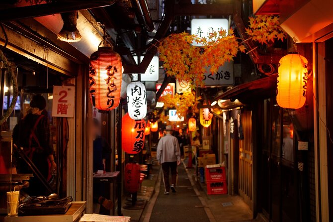 Tokyo Night Walking Tour Shinjuku Kabukicho LGBTQ District - Tour Overview