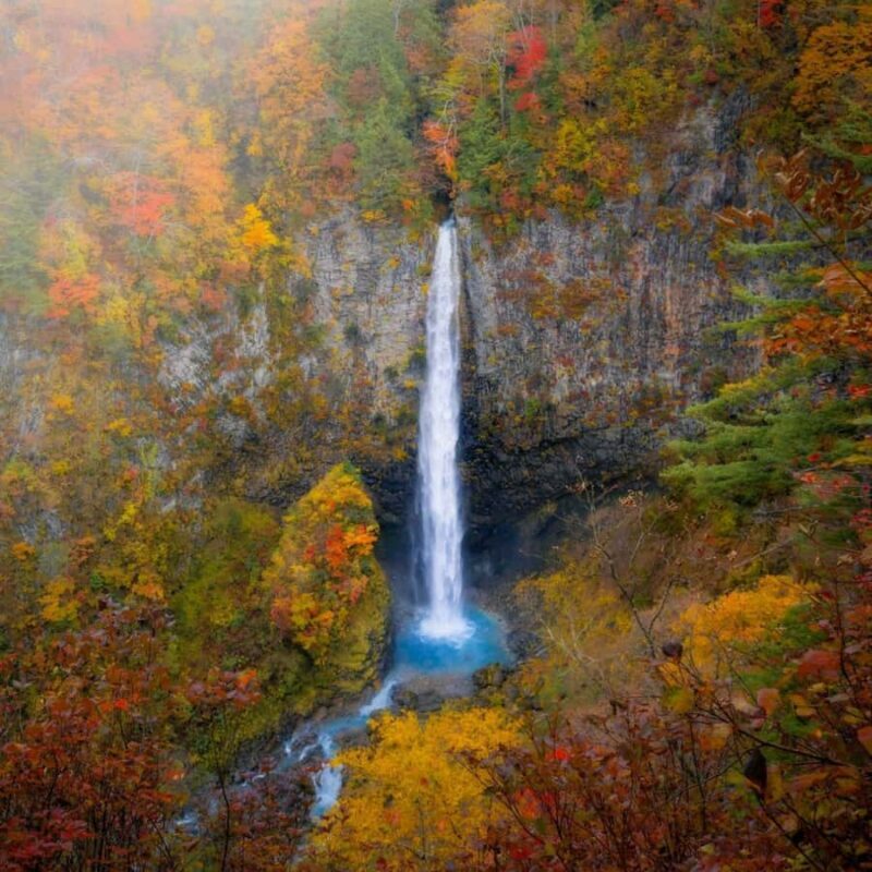 Tokyo: Nikko Beautiful Full Day Personal And Private Tour - FAQ