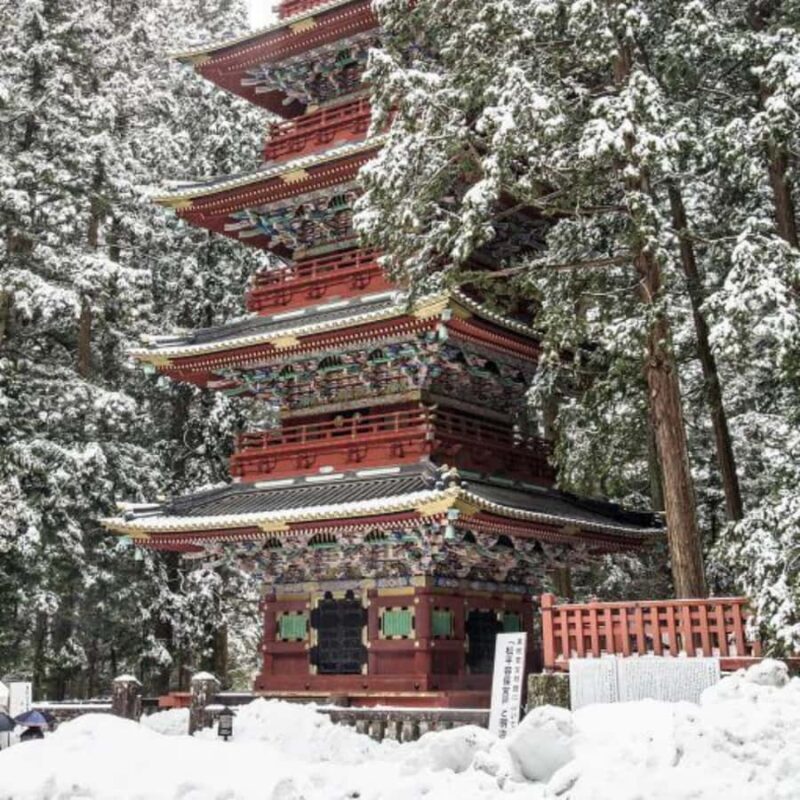 Tokyo: Nikko Chzen-ji Temple Private Full Customizable Tour - The Convenience of Door-to-Door Service