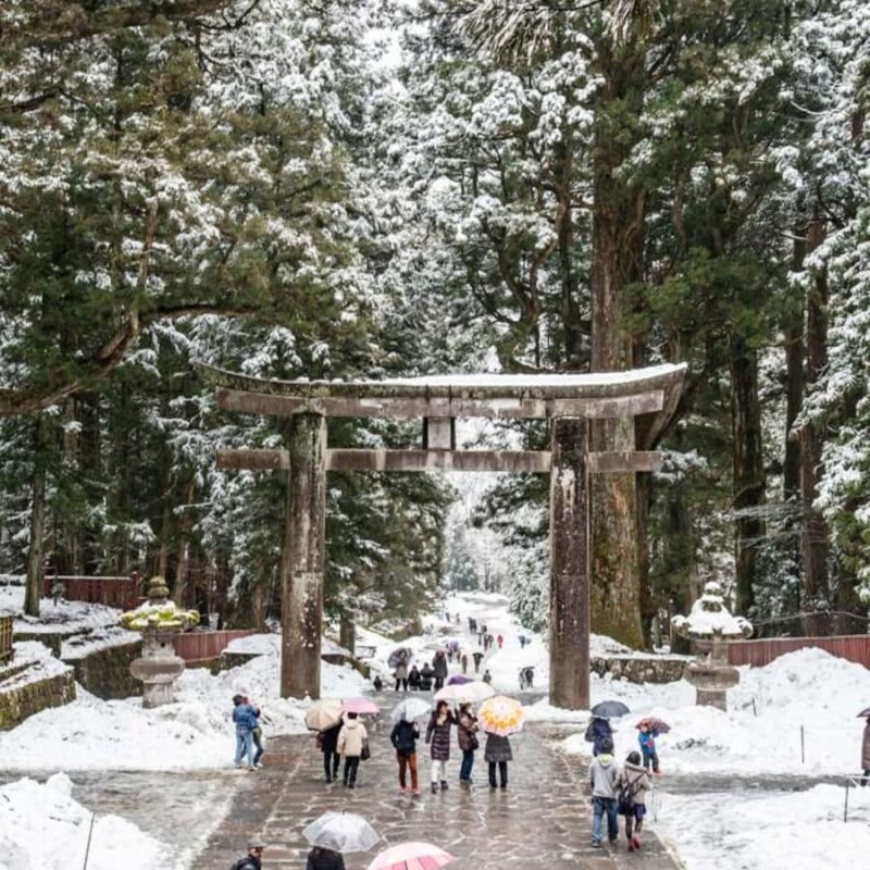 Tokyo: Nikko Chzen-ji Temple Private Full Customizable Tour - Highlighting Nikko’s Natural Beauty