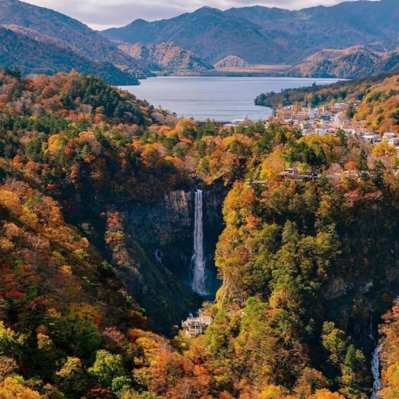 Tokyo: Nikko Chzen-ji Temple Private Full Customizable Tour - Cultural and Historical Highlights