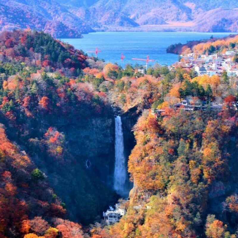 Tokyo: Nikko Chzen-ji Temple Private Full Customizable Tour - Fun for All Ages: Edo Wonderland and Beyond