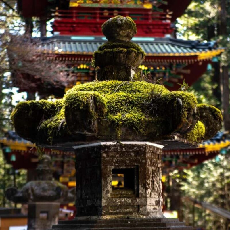 Tokyo: Nikko Chzen-ji Temple Private Full Customizable Tour - Transportation and Timing: How It All Works