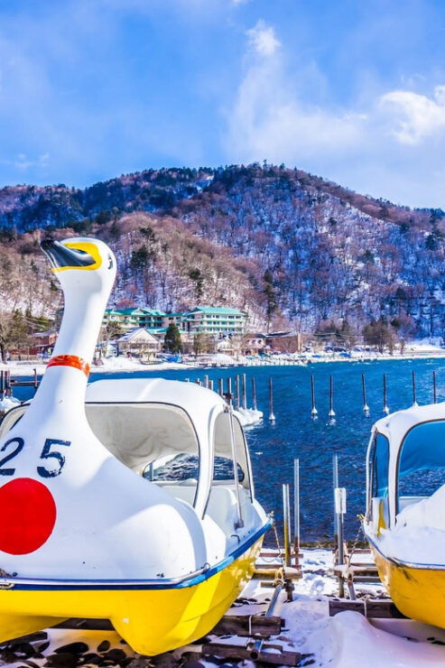 Tokyo: Nikko City Day Trip By Private Car or Van - Good To Know