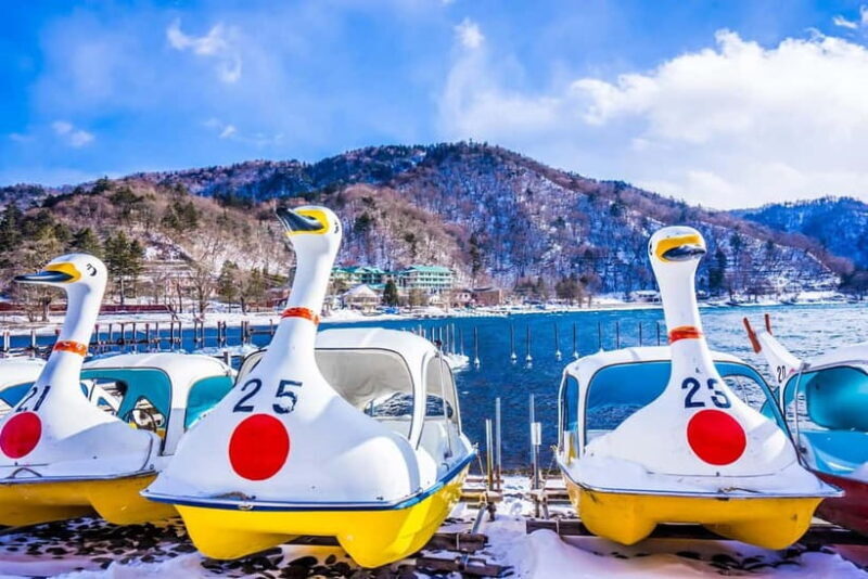 Tokyo : Nikko City Private Luxury Day Tour With Hotel Pickup - Who Will Love This Tour?