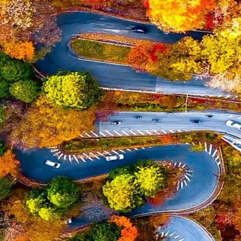 Tokyo: Nikko Cultural Private Day Tour Fully Customizable - Authentic Experiences and Review Insights