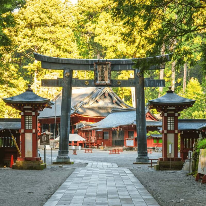 Tokyo: Nikko Cultural Private Day Tour Fully Customizable - Introduction: Why Choose This Tour?