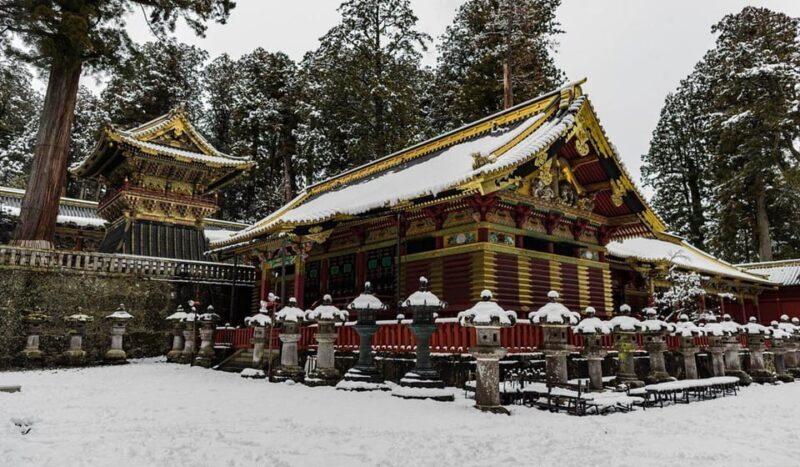 Tokyo: Nikko Day Tour with English Driver and Flexible - Who Is This Tour Best For?  