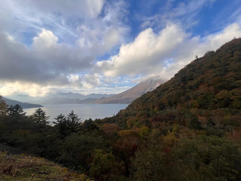 Tokyo: Nikko Day Tour with Private Vehicle and Guide - Rinnoji Temple & Futarasan Shrine