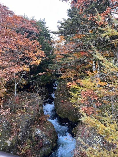 Tokyo: Nikko Day Tour with Private Vehicle and Guide - Exploring Nikko: A Private Day Tour from Tokyo