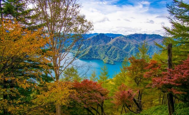 Tokyo Nikko Day Trip: Nikko Toshogu Shrine + Kegon Falls, Onsen Hot Spring & Edo Village Cultural Experience - Who should book this Nikko day trip?