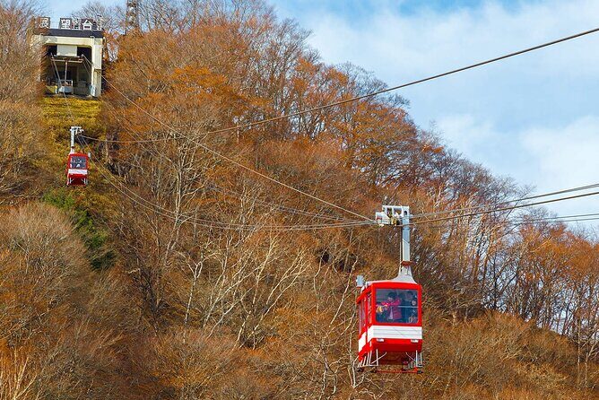 Tokyo Nikko Day Trip: Toshogu Shrine, Lake Chuzenji & Kegon Falls - Practical Details and Logistics