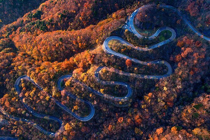 Tokyo Nikko Day Trip: Toshogu Shrine, Lake Chuzenji & Kegon Falls - What Reviewers Say