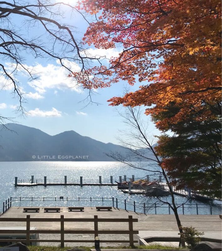 Tokyo: Nikko Full-Day Private Customizable Tour - The driver is a major part of the experience